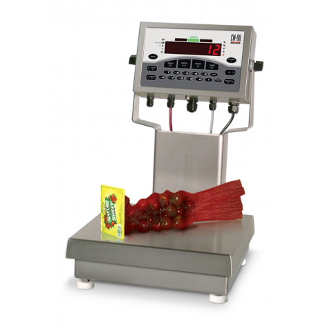 Rice Lake CW-90 Over/Under Checkweigher In Use